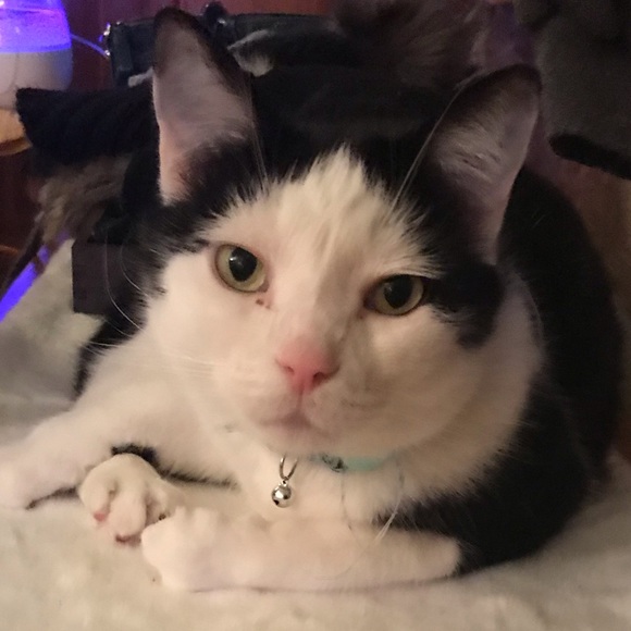 Meet your Posher, Jenna - Picture 1 of 1